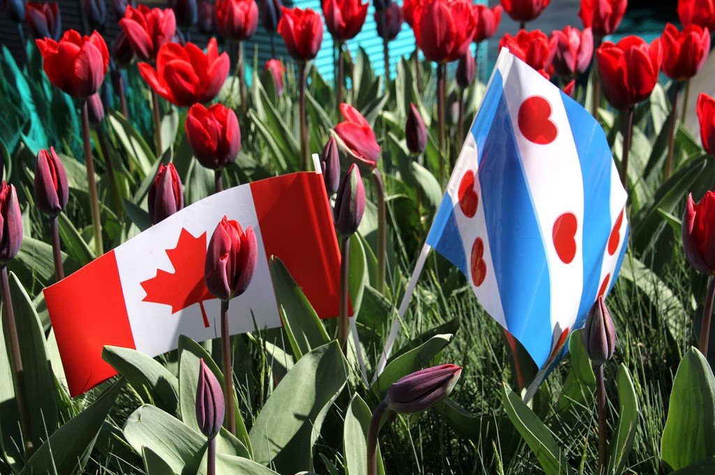 De Canadezen, ze komen!